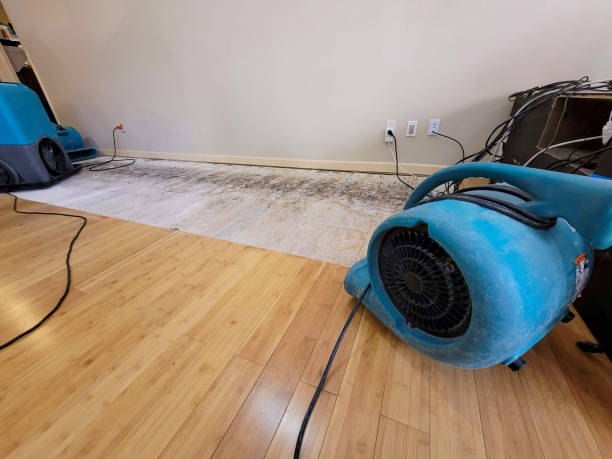 Professional Water Removal technician working in Stryker, OH